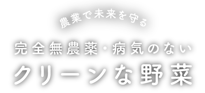 「素材」と「技術」に妥協なし