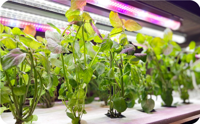 イメージ:店内空きスペースを有効活用