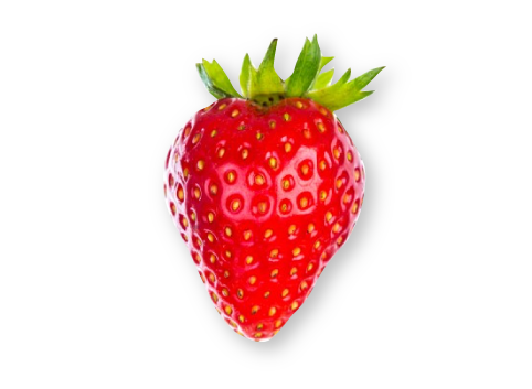 イメージ:未来のいちご